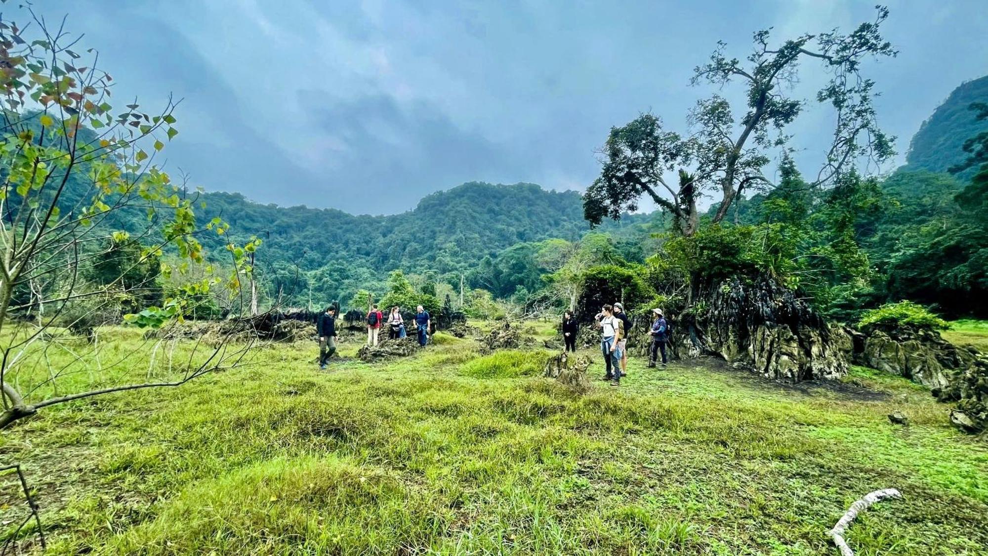 Cat Ba Eco Hotel Dong Khe Sau Eksteriør billede